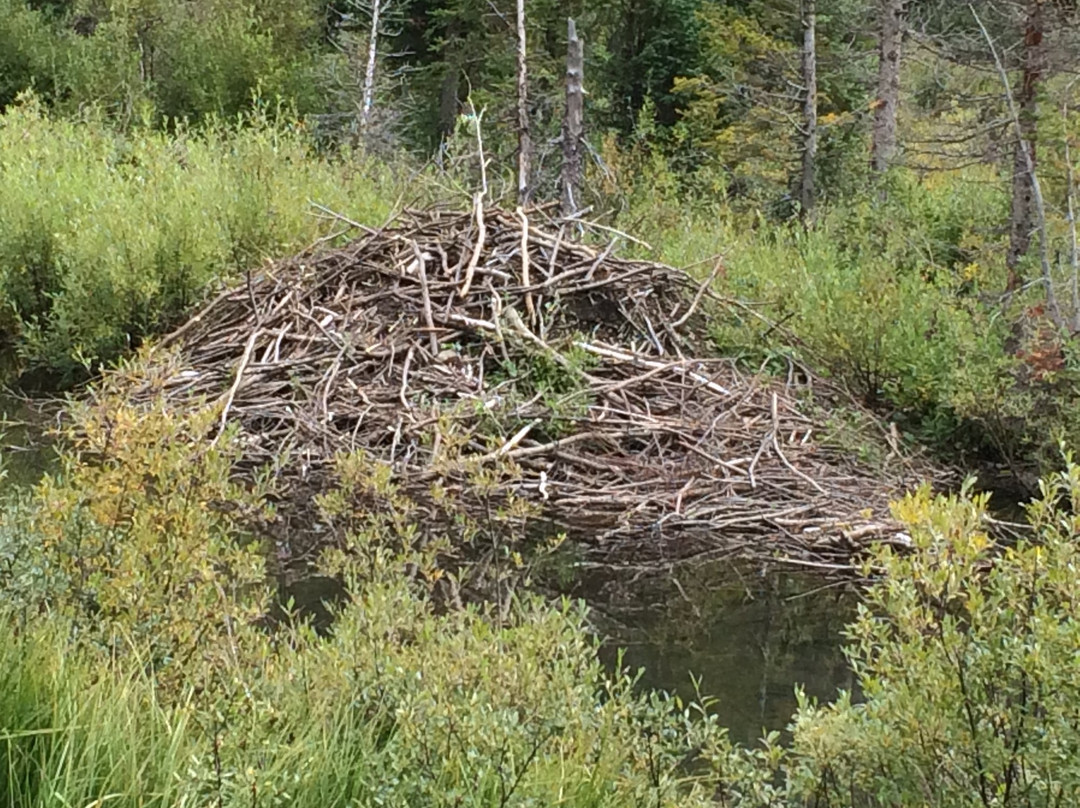 East Maroon Trail-阿斯蓬必去景点