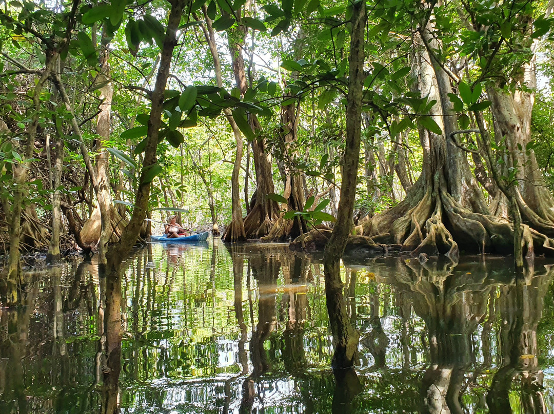 Mkg Centre Nautique-Deshaies必去景点