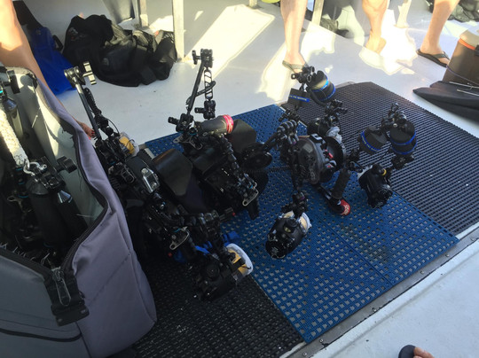 Emerald Charters-朱庇特必去景点