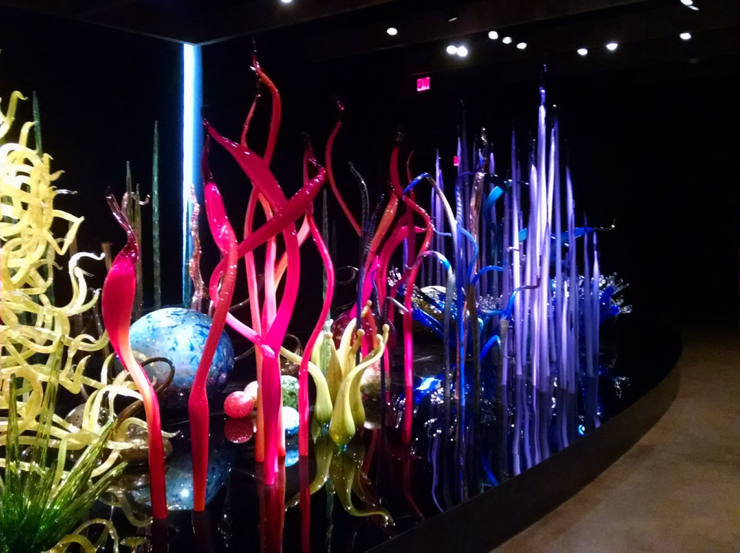 Chihuly Collection景点图片