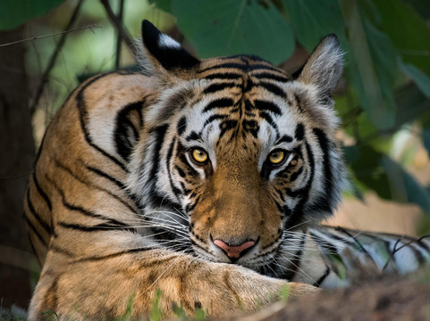 Nature Explorers India-孟买必去景点