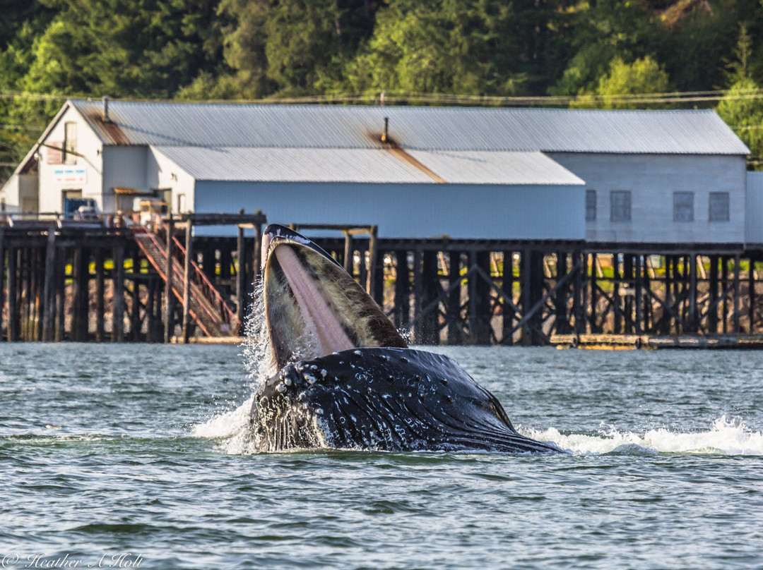 Hooked Adventures-胡纳必去景点