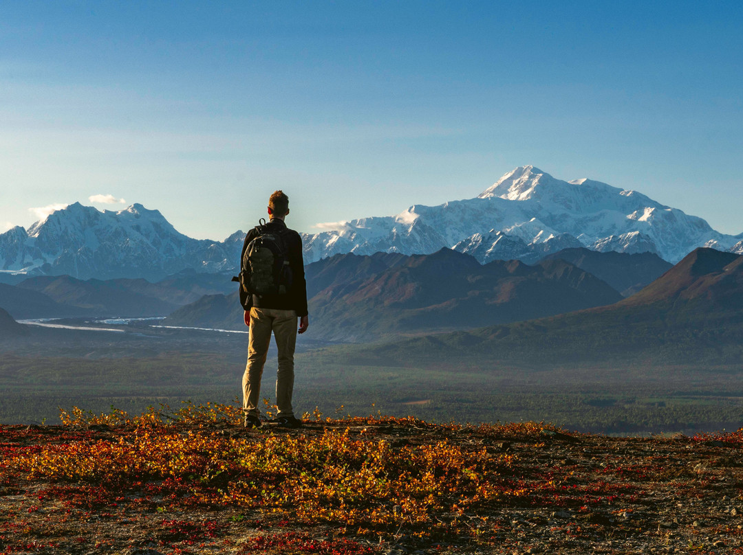 Alaska Nature Guides景点图片