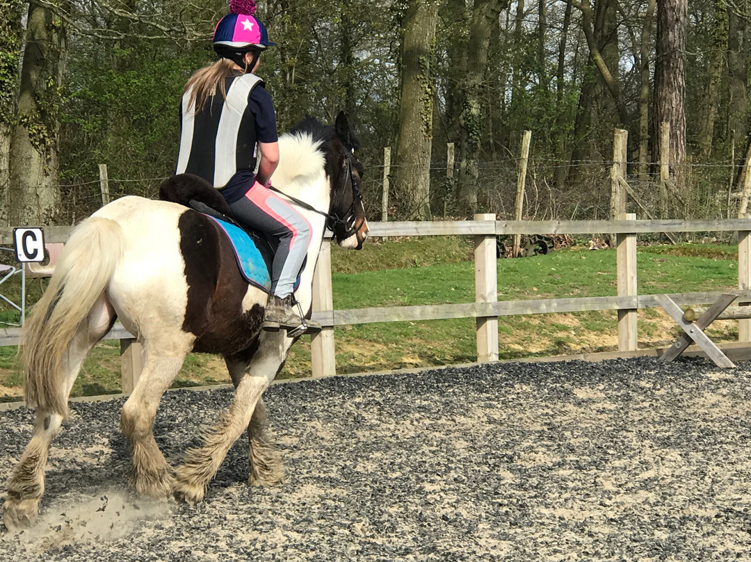 Cuckoo Riding Centre景点图片