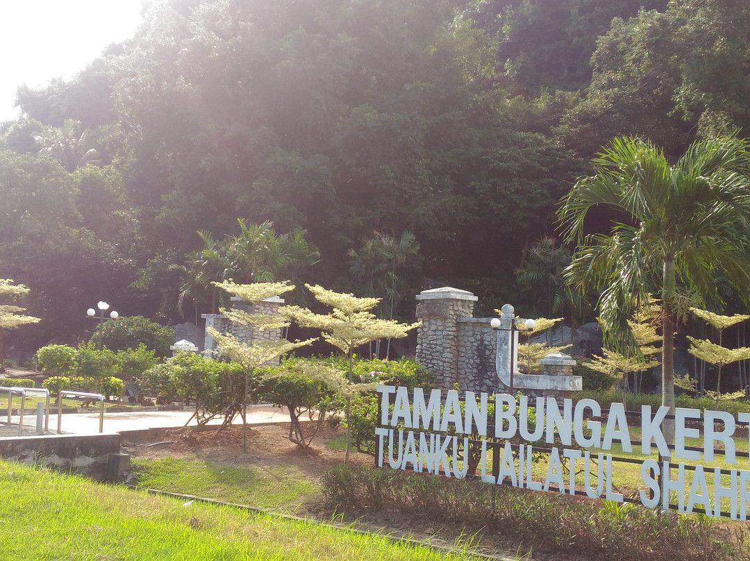 Bukit Cenderawasih景点图片