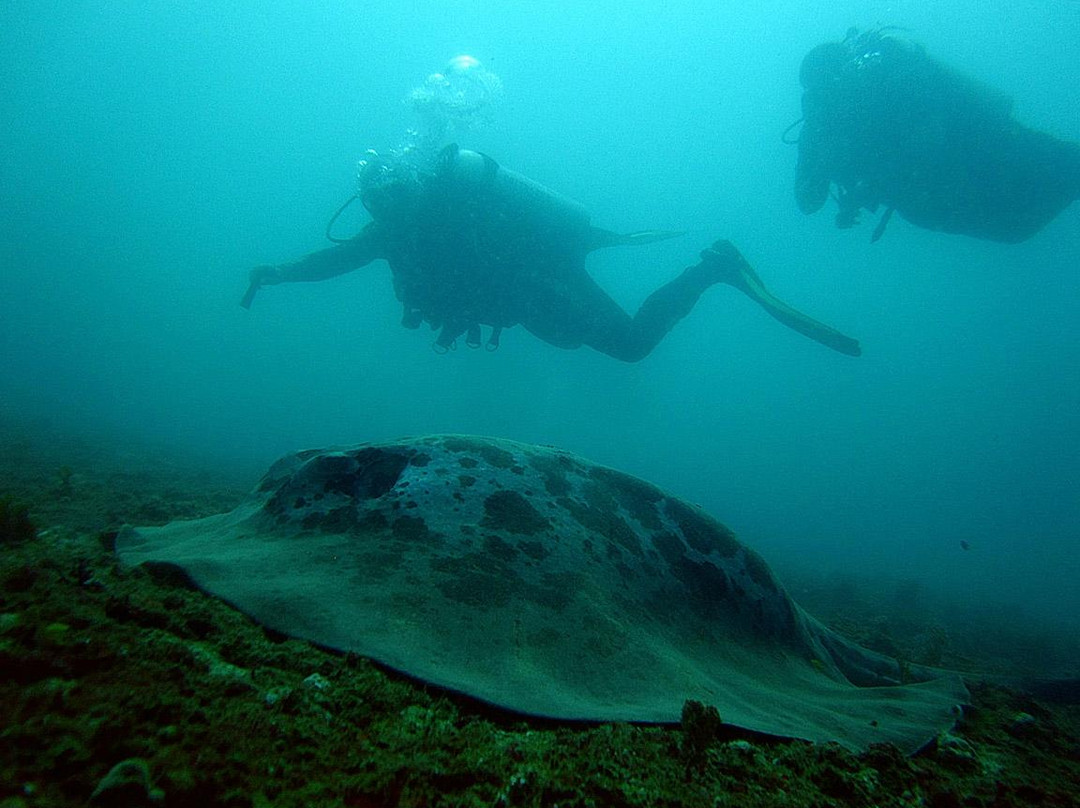 Epic Encounters Dive & Adventure Centre景点图片