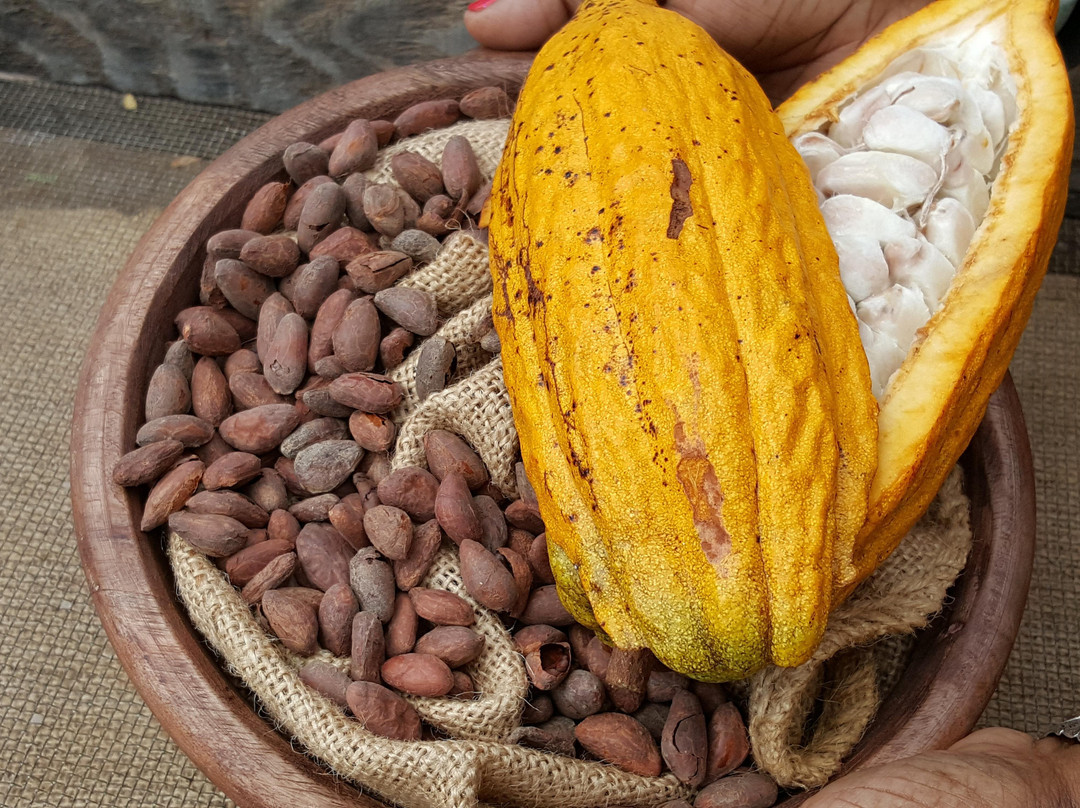 Maui Chocolate & Coffee Tours