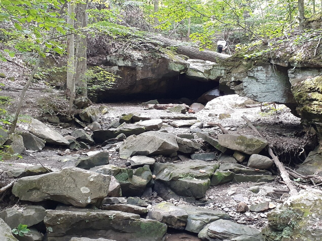 Deer Lick Cave Trail