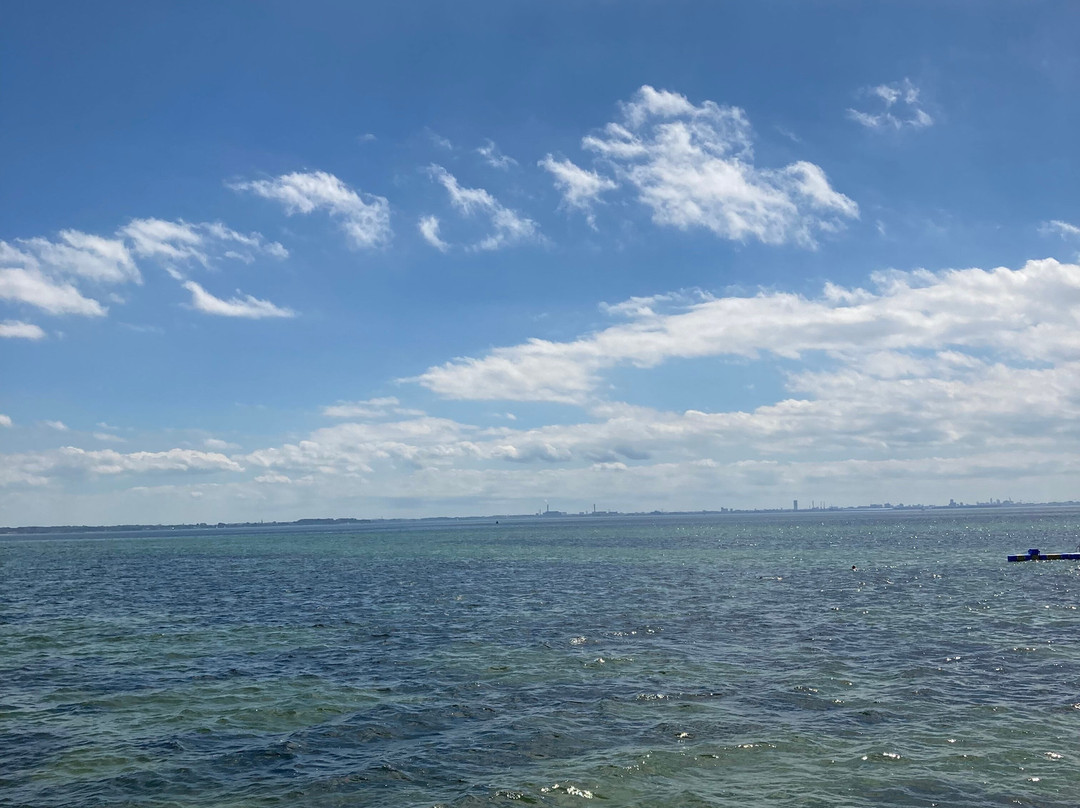 Långa Bryggan Bjärred景点图片
