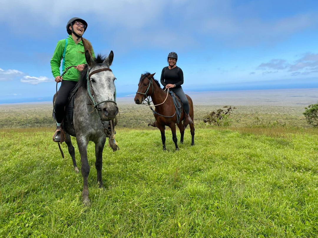 Cerro Mesa-阿约拉港必去景点