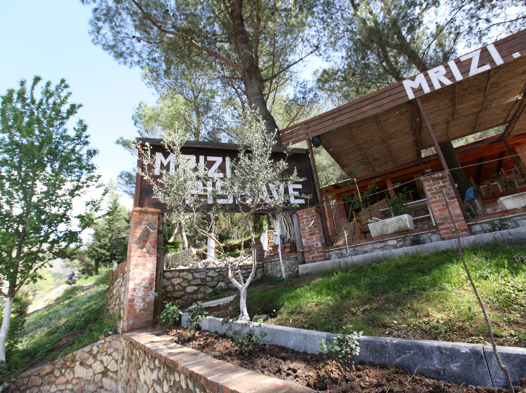 Mrizi I Pishave