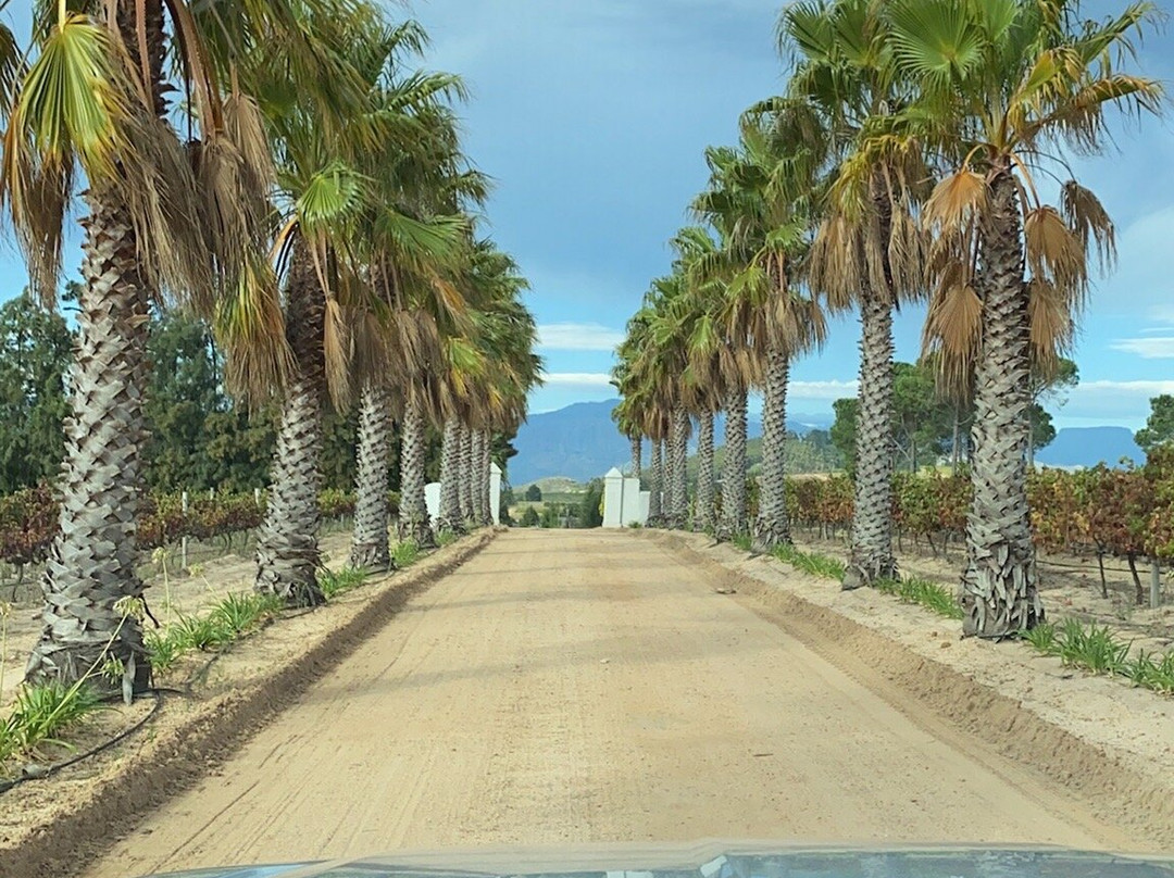 Arra Vineyards-Klapmuts必去景点