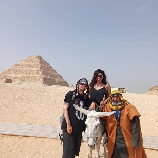 纳赛尔阿布高尼姆宾馆-官方