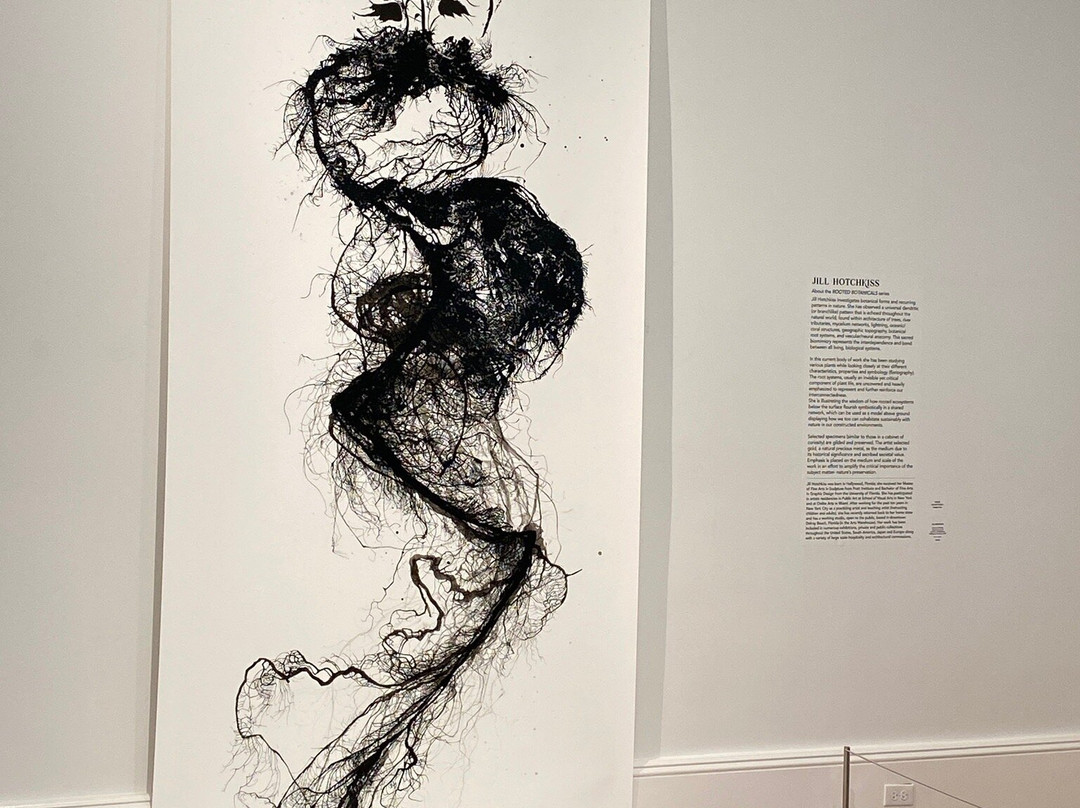 Cornell Art Museum-德拉海滩必去景点