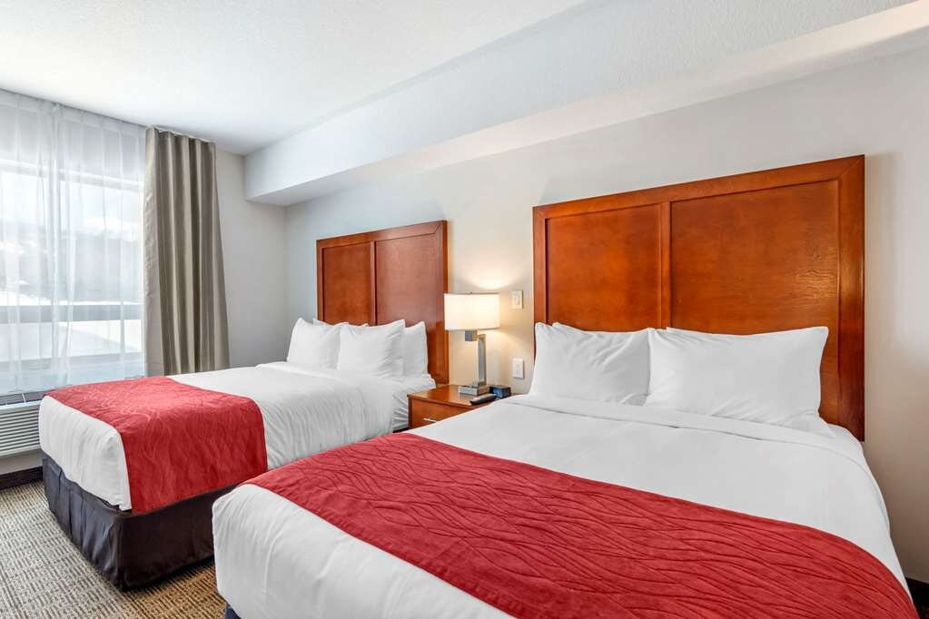 Comfort Inn & Suites主图