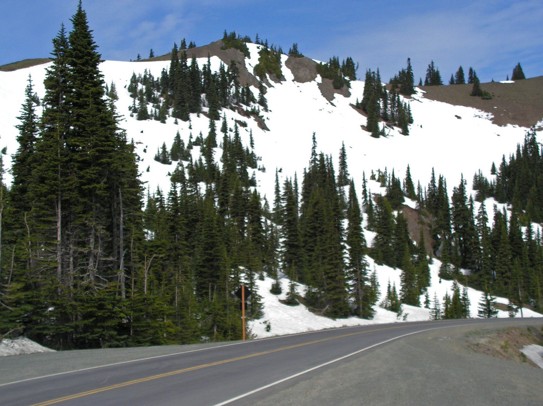 Hurricane Ridge Visitors Center-奥林匹克国家公园必去景点