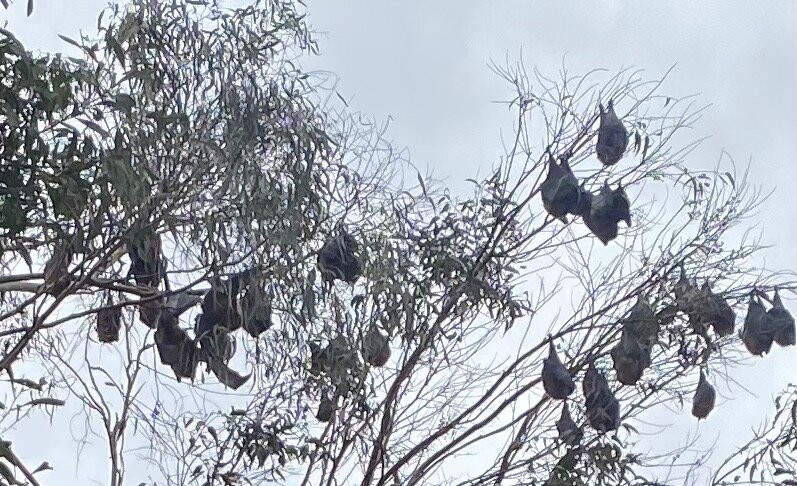 Lake Guthridge-塞尔必去景点