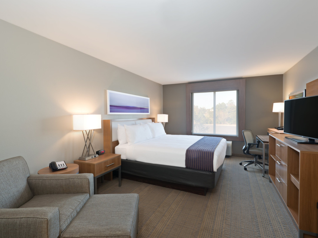 Malvern酒店住宿-Holiday Inn Express & Suites Hot Springs By IHG