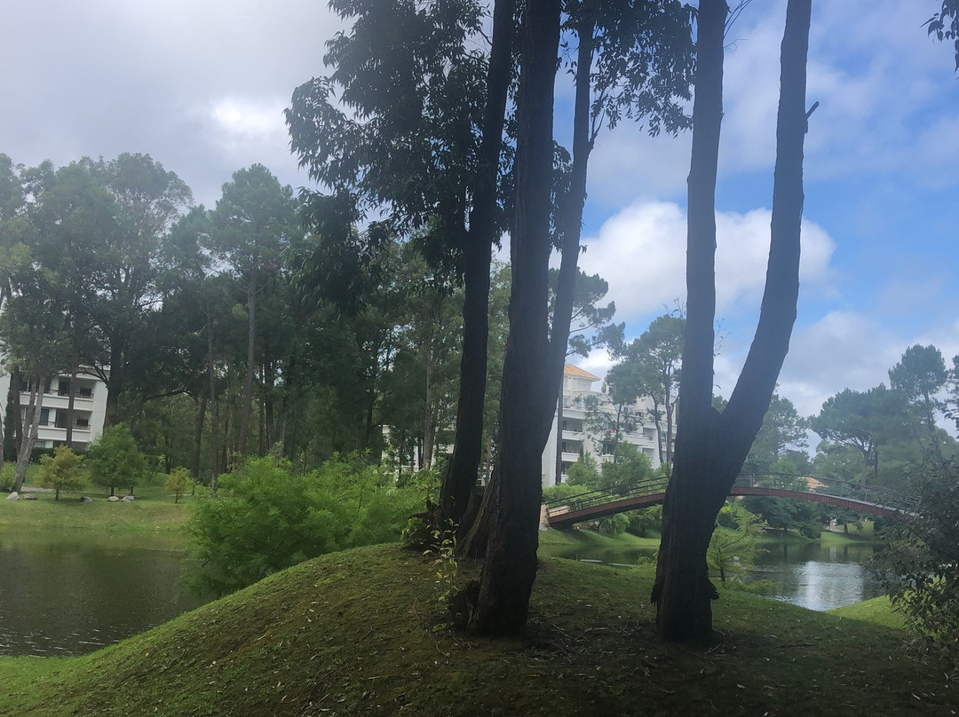 索拉纳斯绿色公园Spa度假村主图