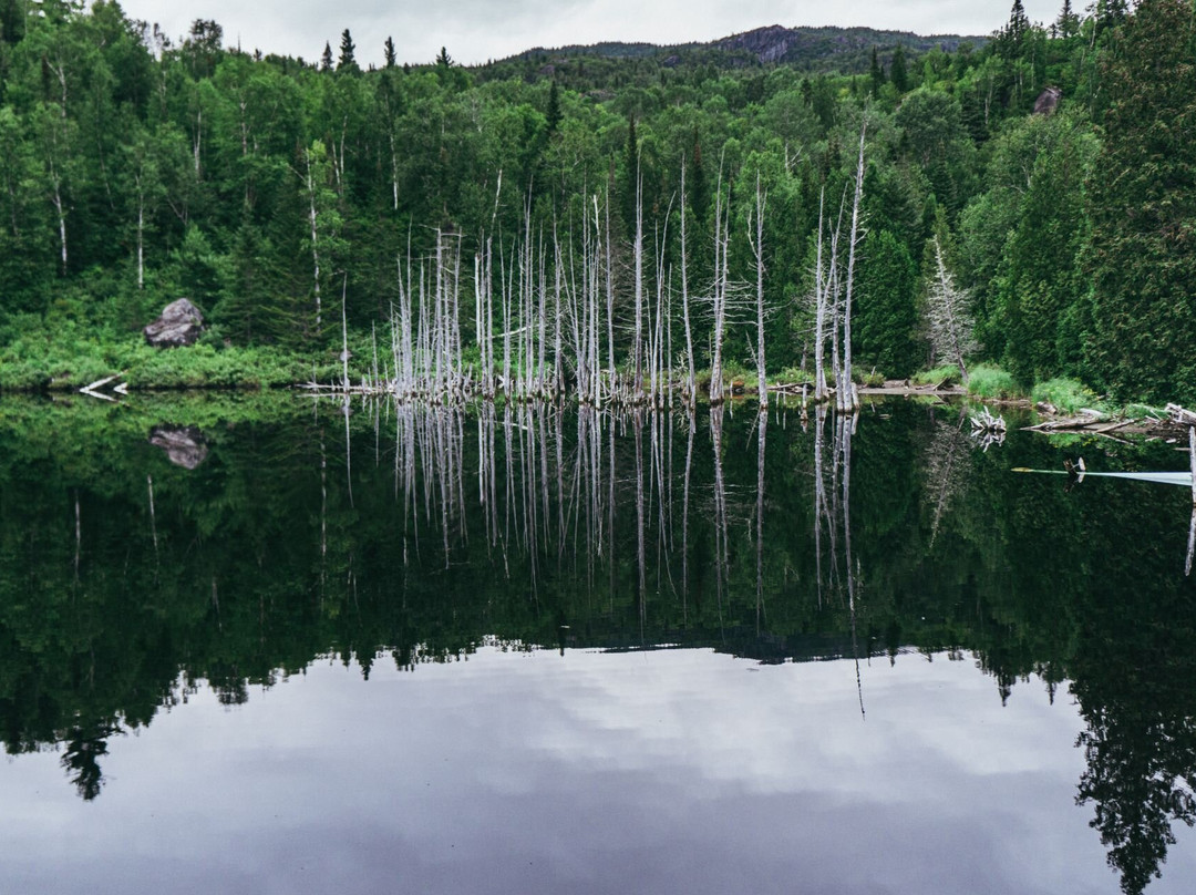 Parc national des Monts-Valin景点图片