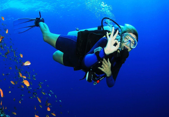 I Dive Diving Centre-沙姆沙伊赫必去景点