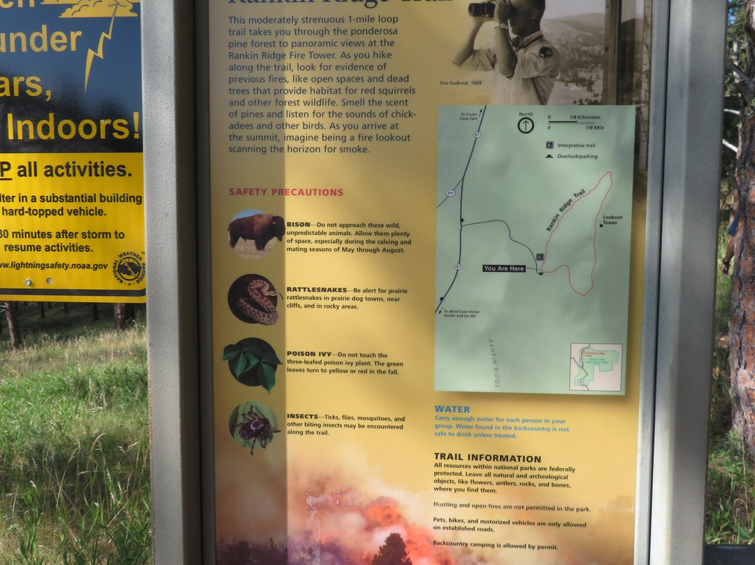 Rankin Ridge Nature Trail-Wind Cave National Park必去景点