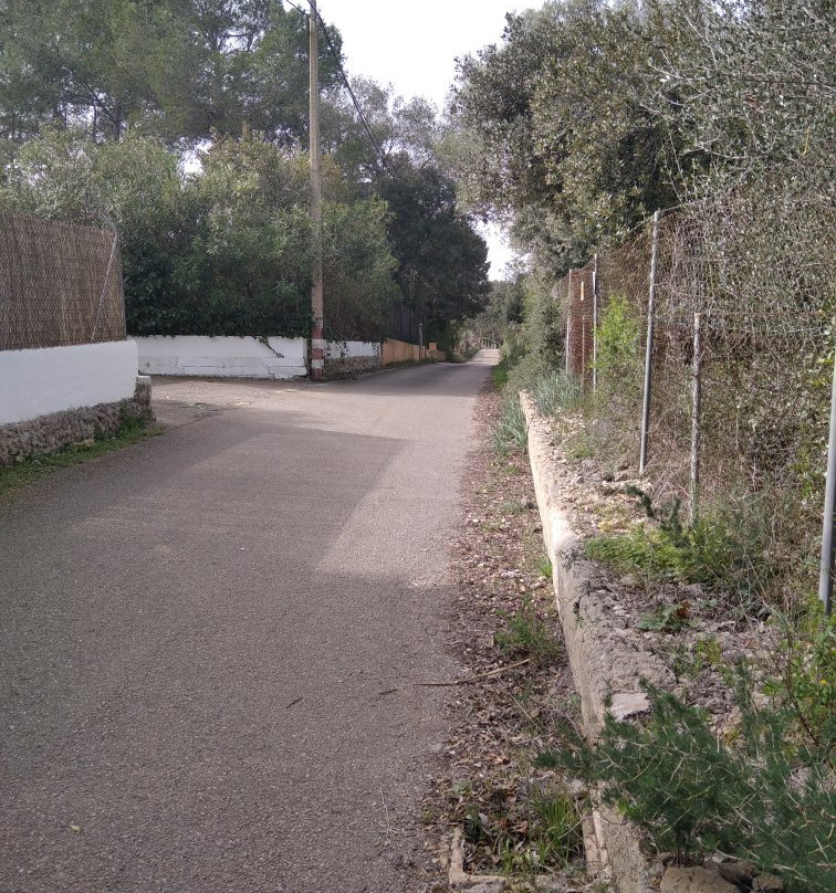 Talaiot De "son Fret" Sencelles Mallorca景点图片