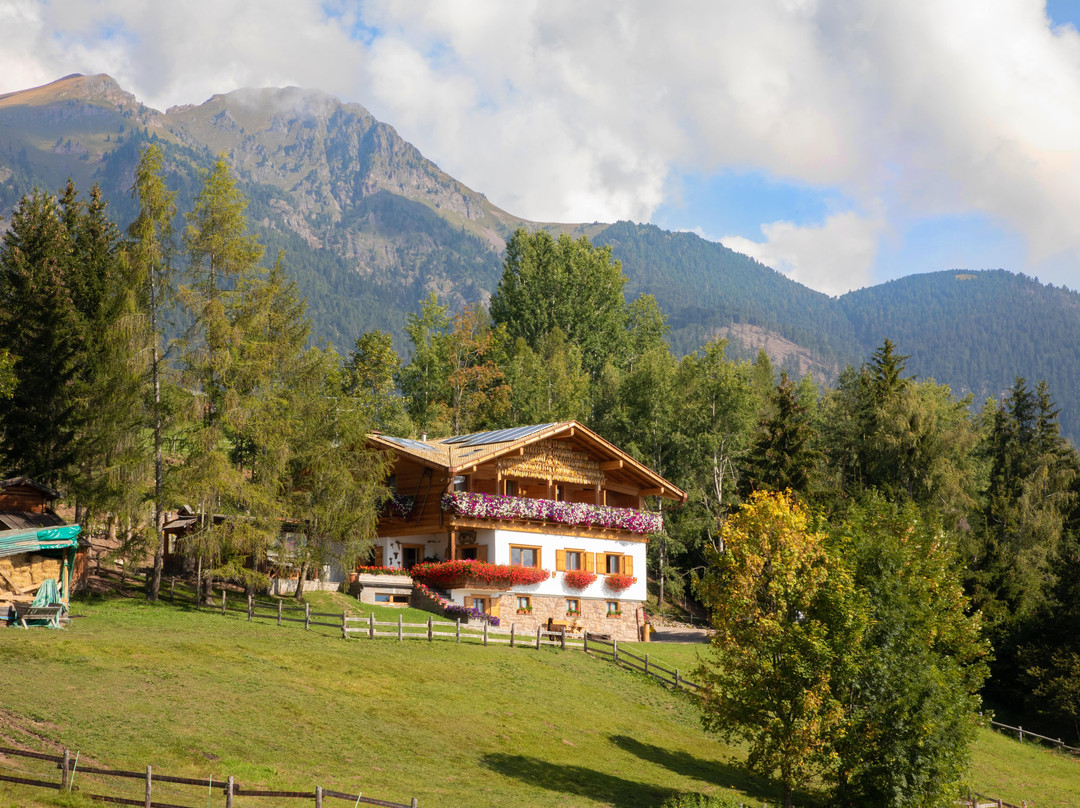 Belvedere B & B主图