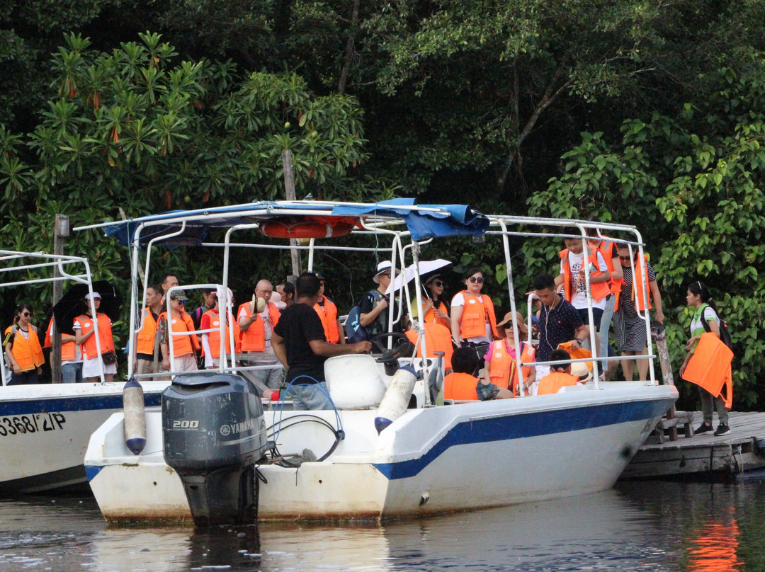 Klias River Cruise with Proboscis Monkey-哥打克里亚斯必去景点