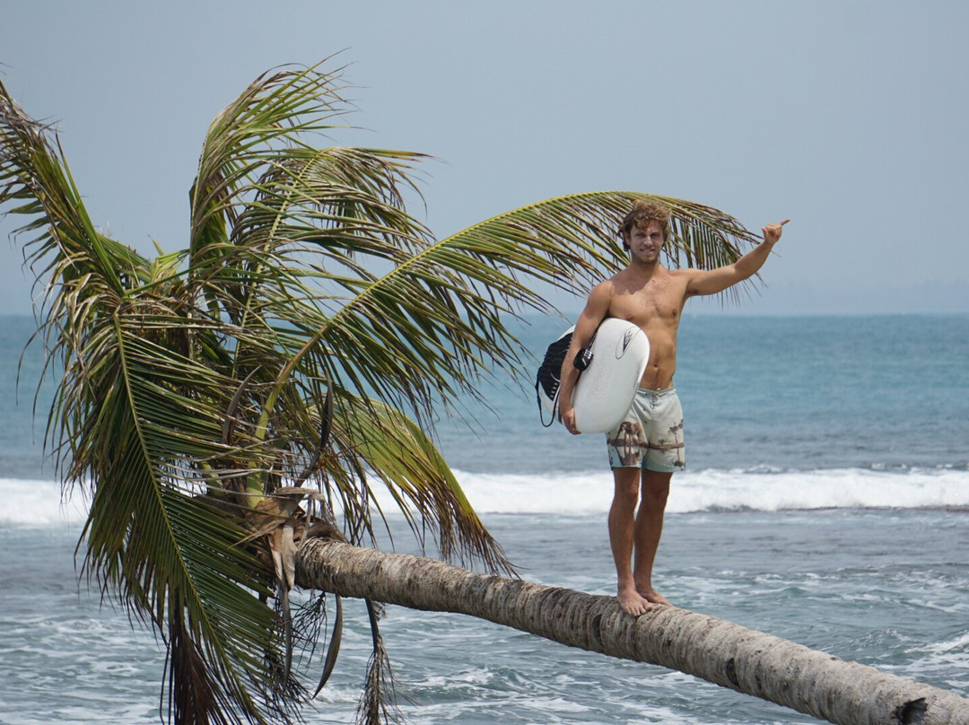 Driftwood Mentawai Surf Resort主图