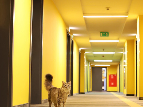 托巴克罗兹酒店主图