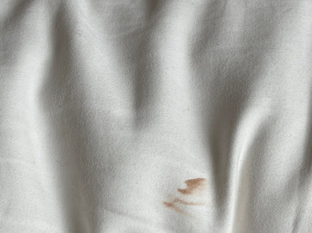 The Excelton Hotel主图