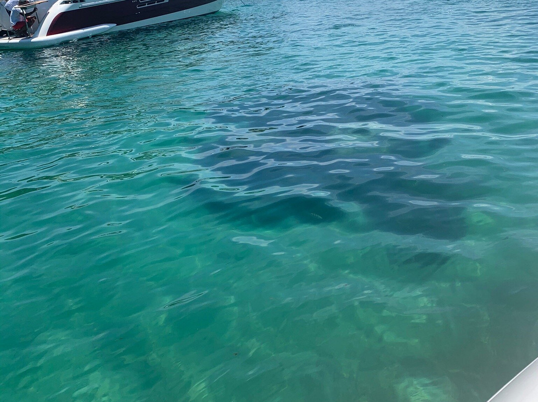 Passeios Nauticos Angra景点图片
