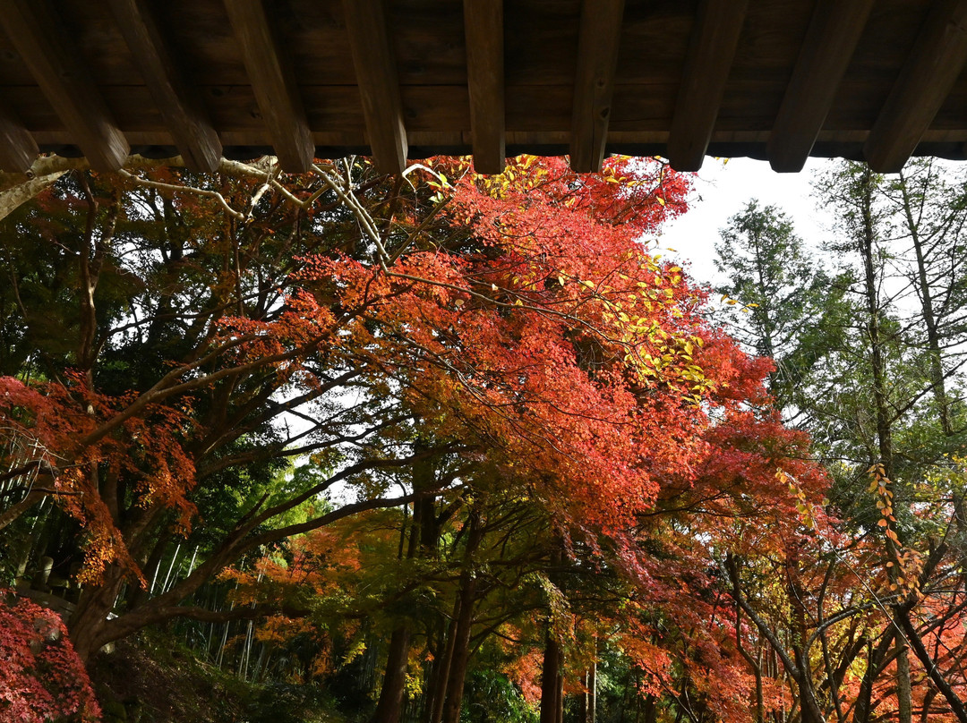 Fukiji Temple景点图片