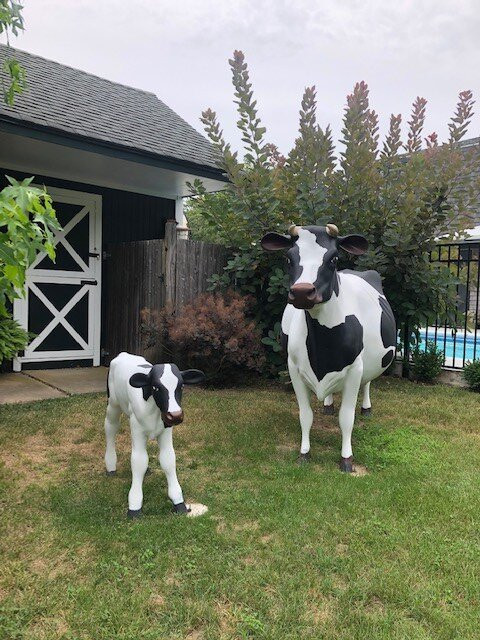 Charles & Charles主图