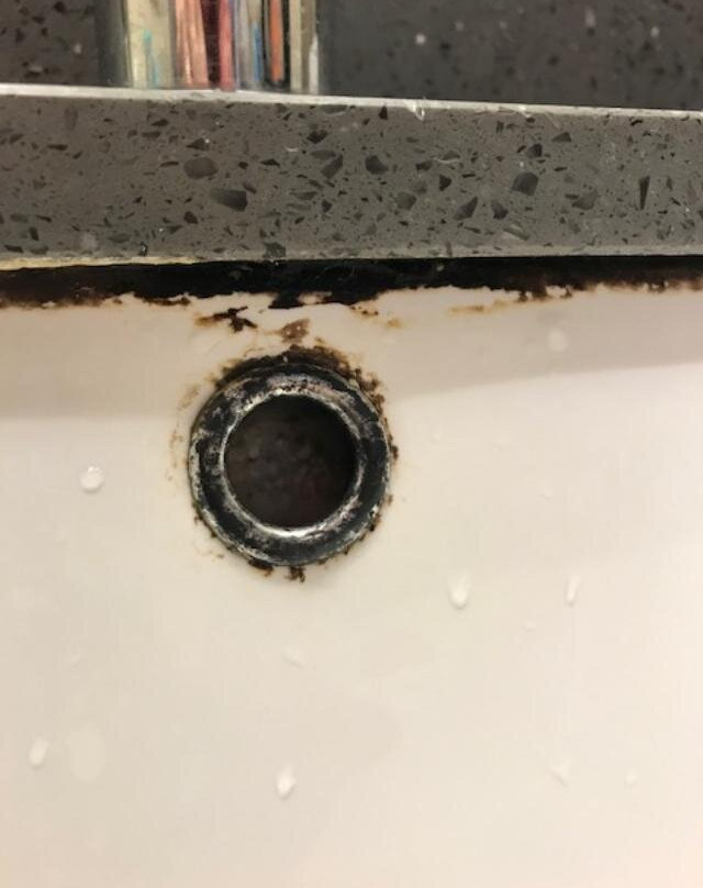 Rodeway Inn Sylacauga Hwy 280主图