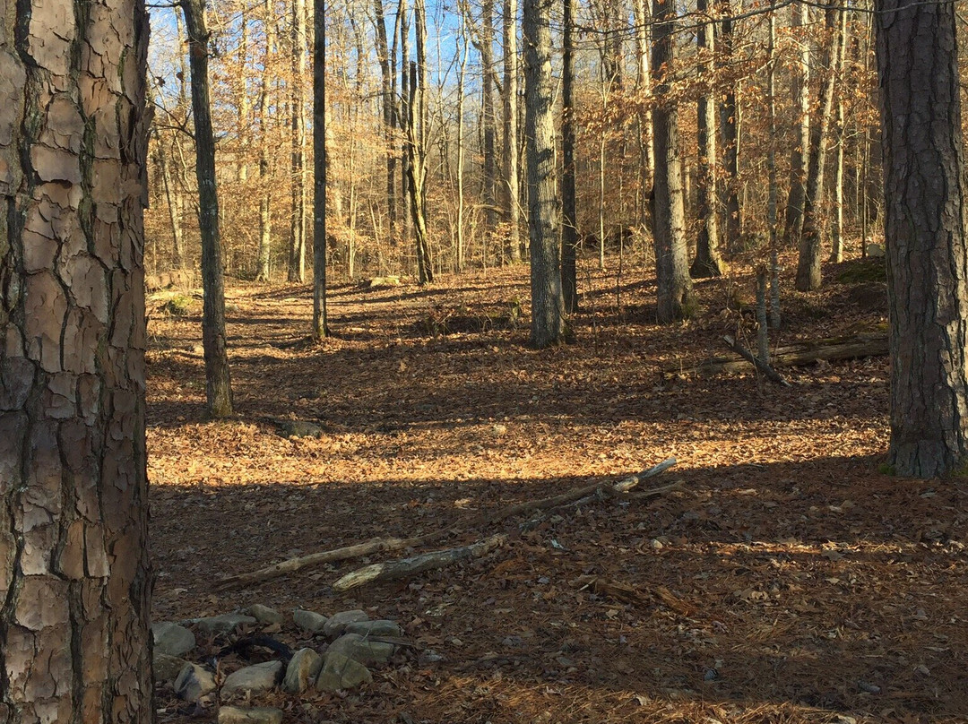 Buck's Pocket State Park景点图片
