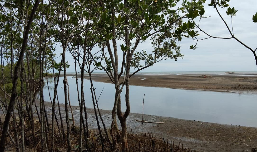 Mangrove Park and Beach Resort