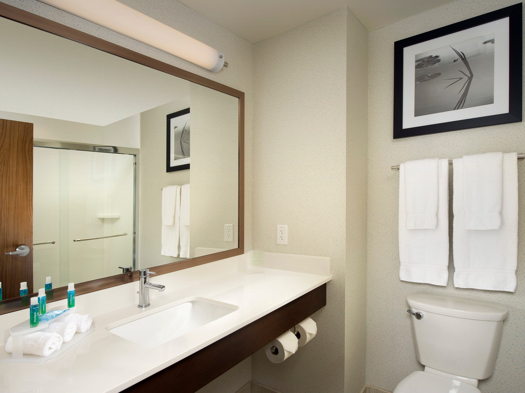 Holiday Inn Express & Suites Bay City By IHG主图