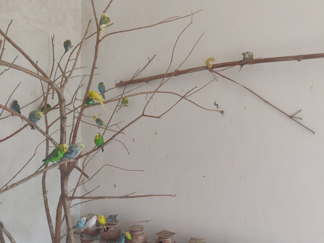 Nahargarh Ranthambhore主图