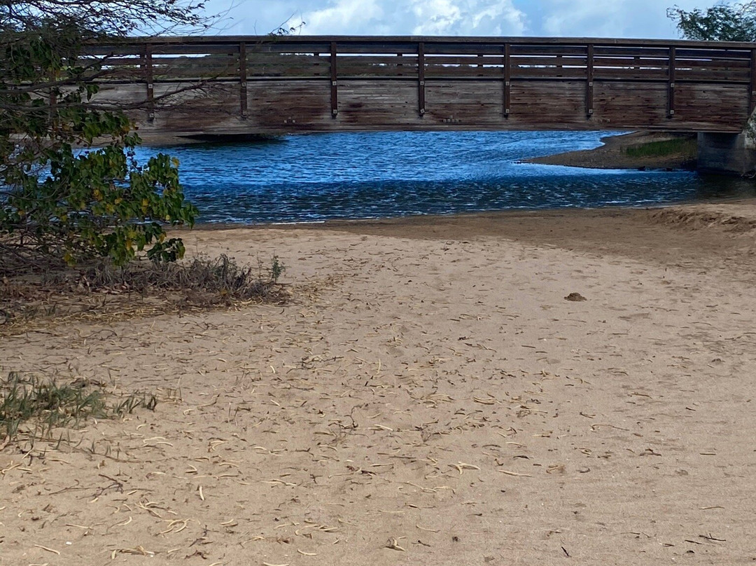 Kealia Coastal Boardwalk-基黑必去景点