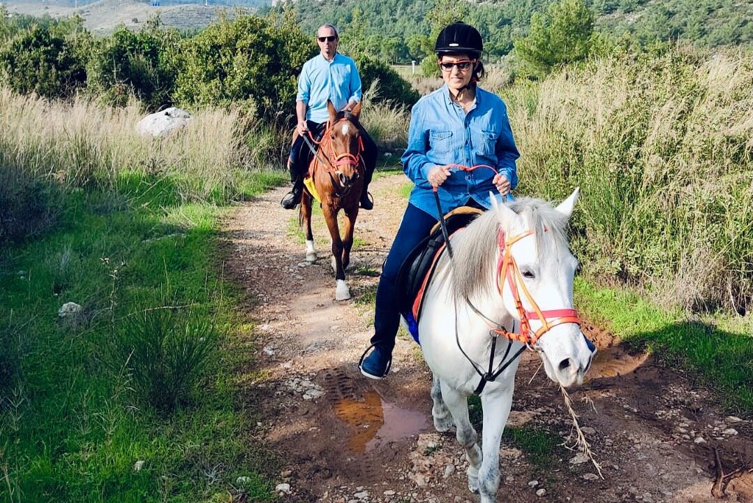 DATÇA Binicilik Merkezi景点图片