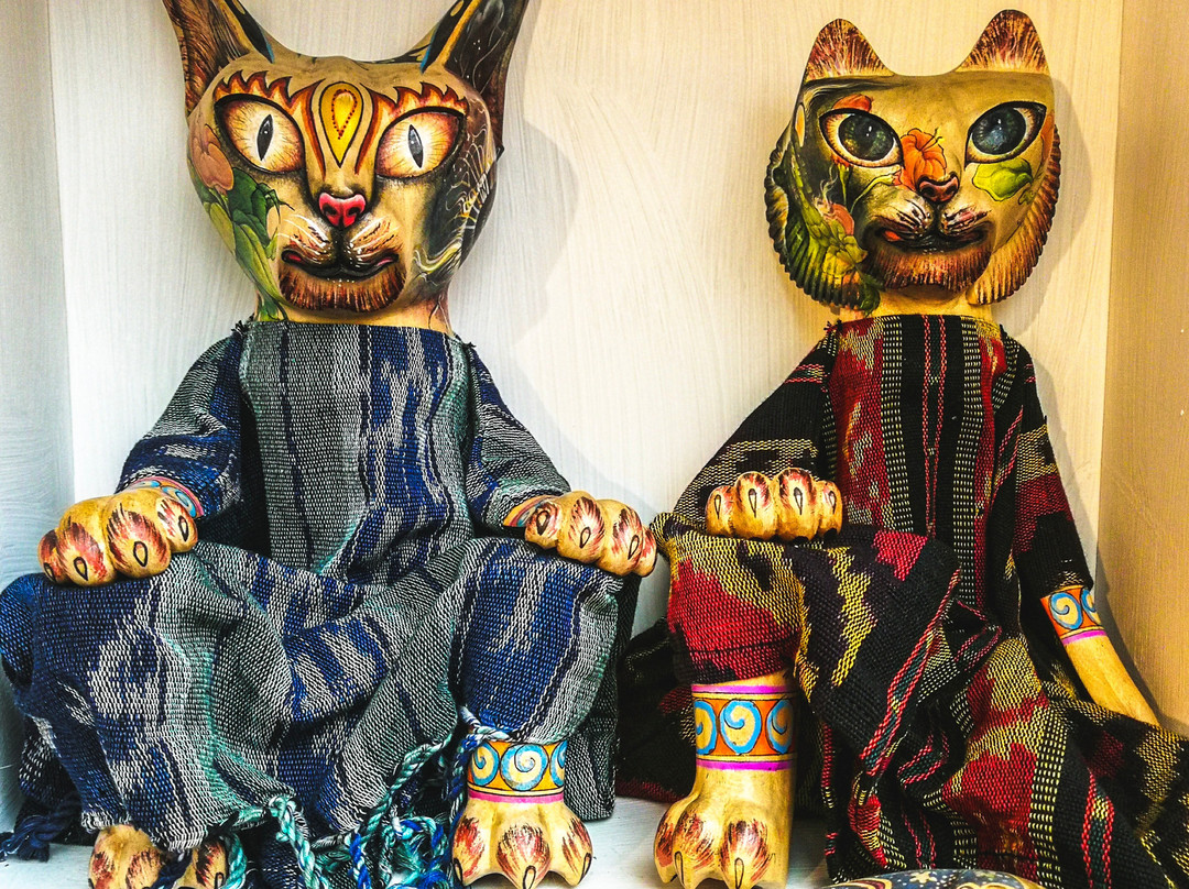 Meowseum Museum of Cat Art & Craft-乔治城必去景点