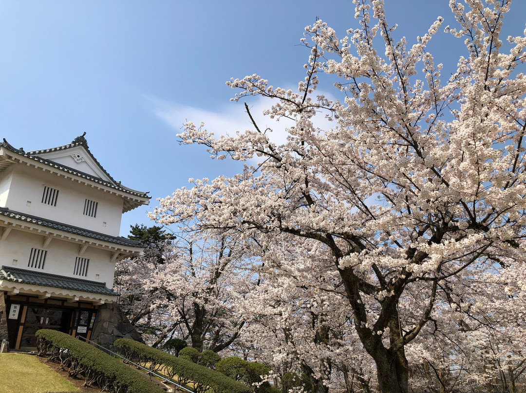 Yukyuzan Park-长冈市必去景点