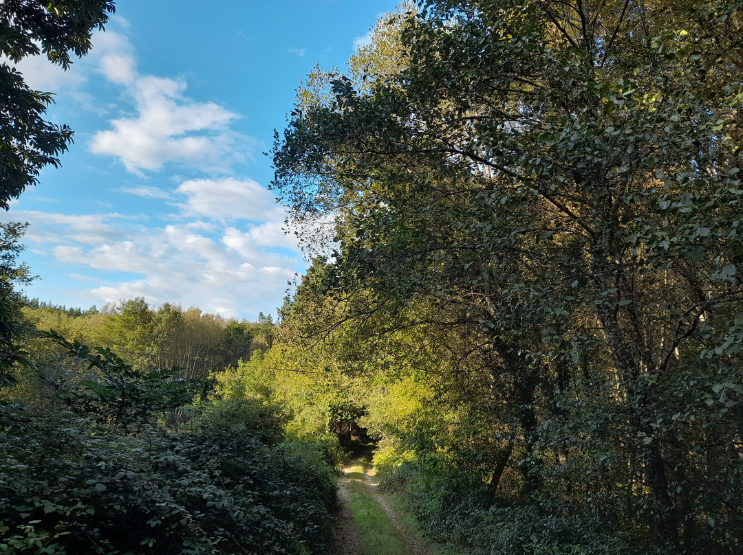 Rectoral de Romean主图