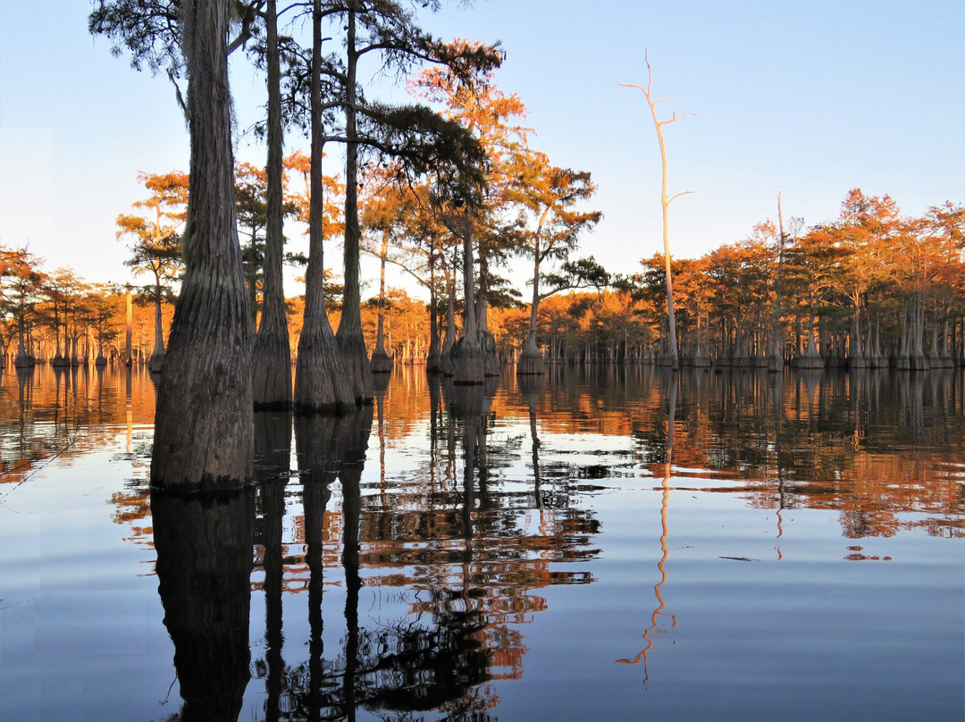 Mill Pond Kayak, LLC-Twin City必去景点