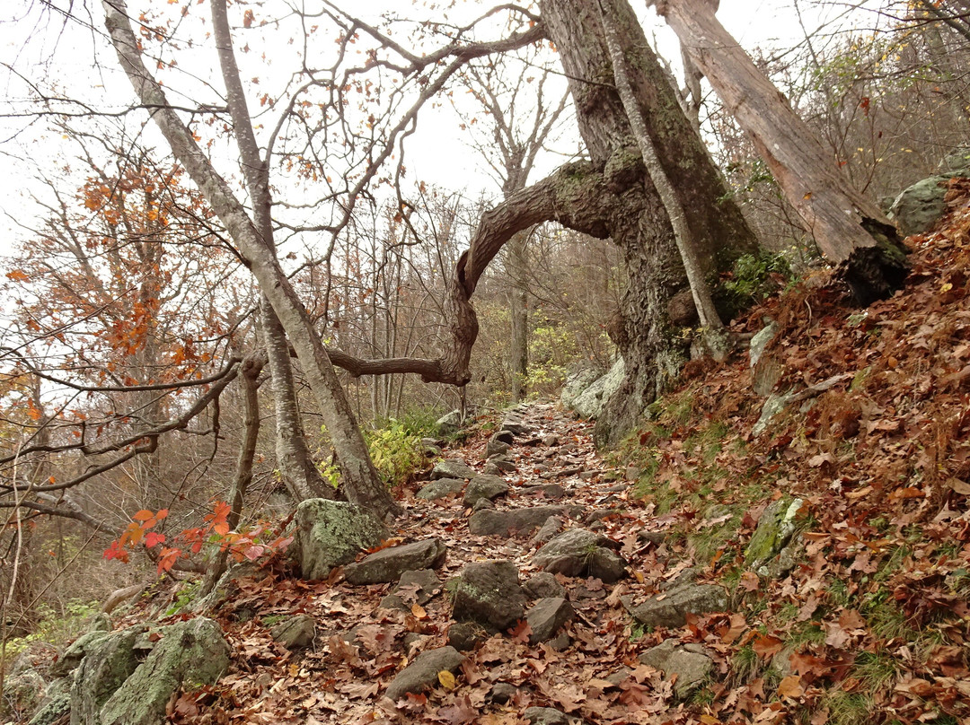 Mary's Rock Summit Trail景点图片