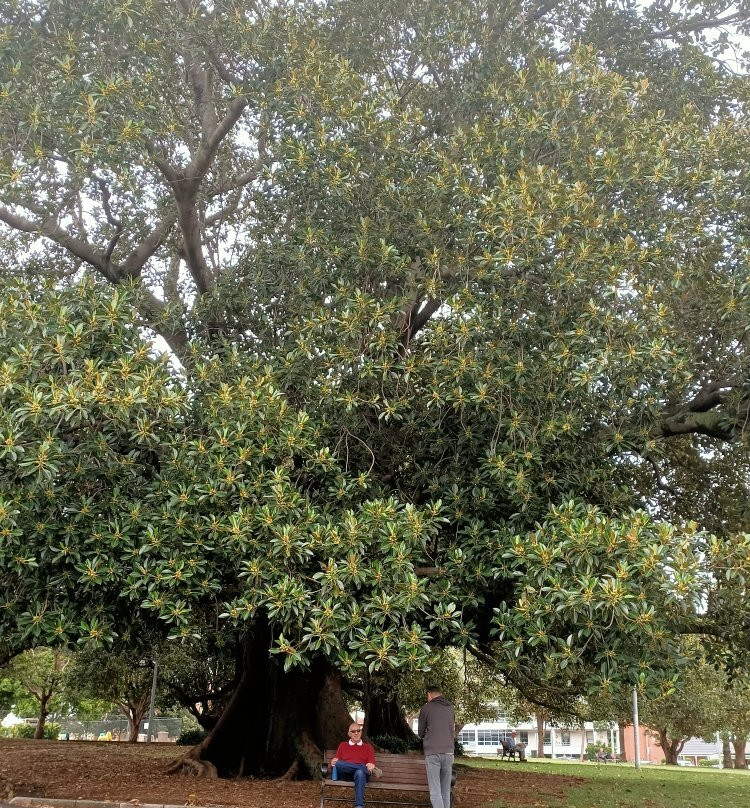 Gladstone Park-巴尔曼必去景点