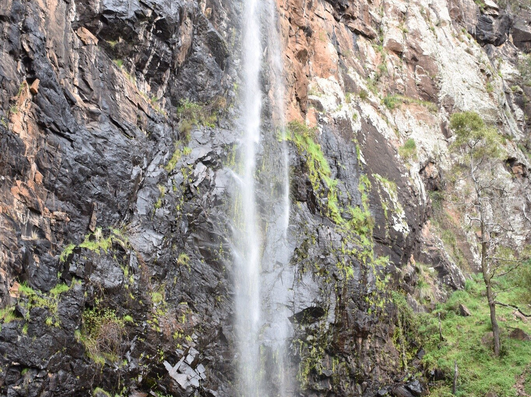 Mount Canobolas State Conservation Area景点图片
