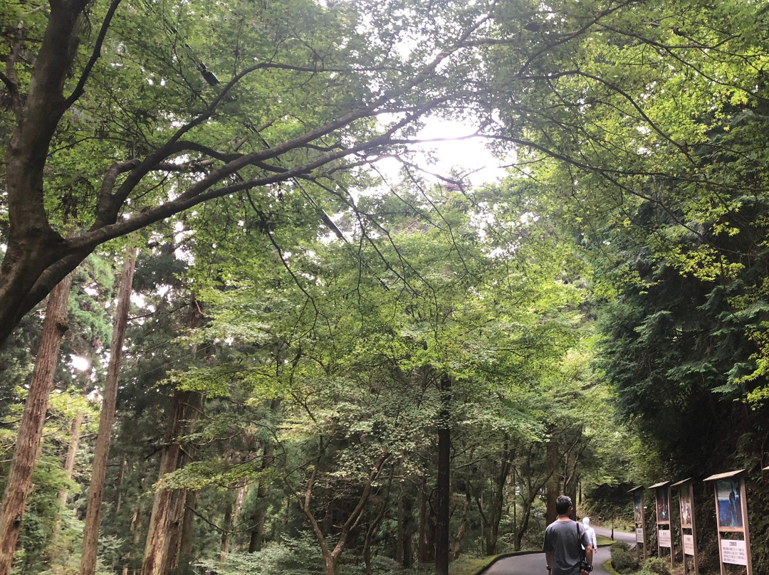 Enryaku-ji Yokawachudo景点图片